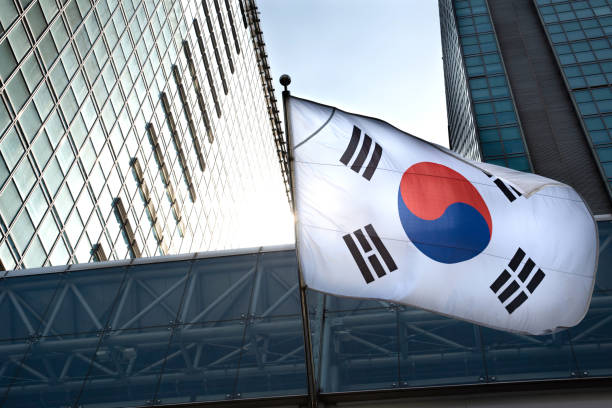 진우회계세무 오재훈 회계사 - 칼럼 5 - “비용처리” 해!?